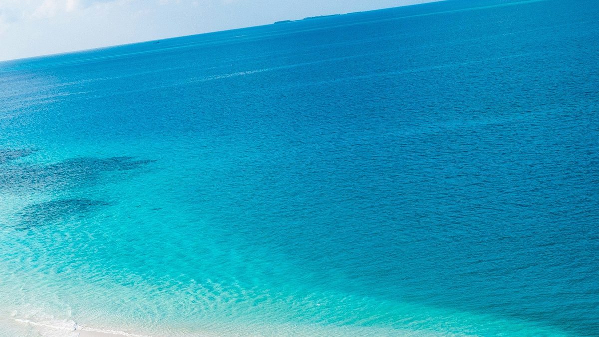 Best budget hotels near you offer deals
