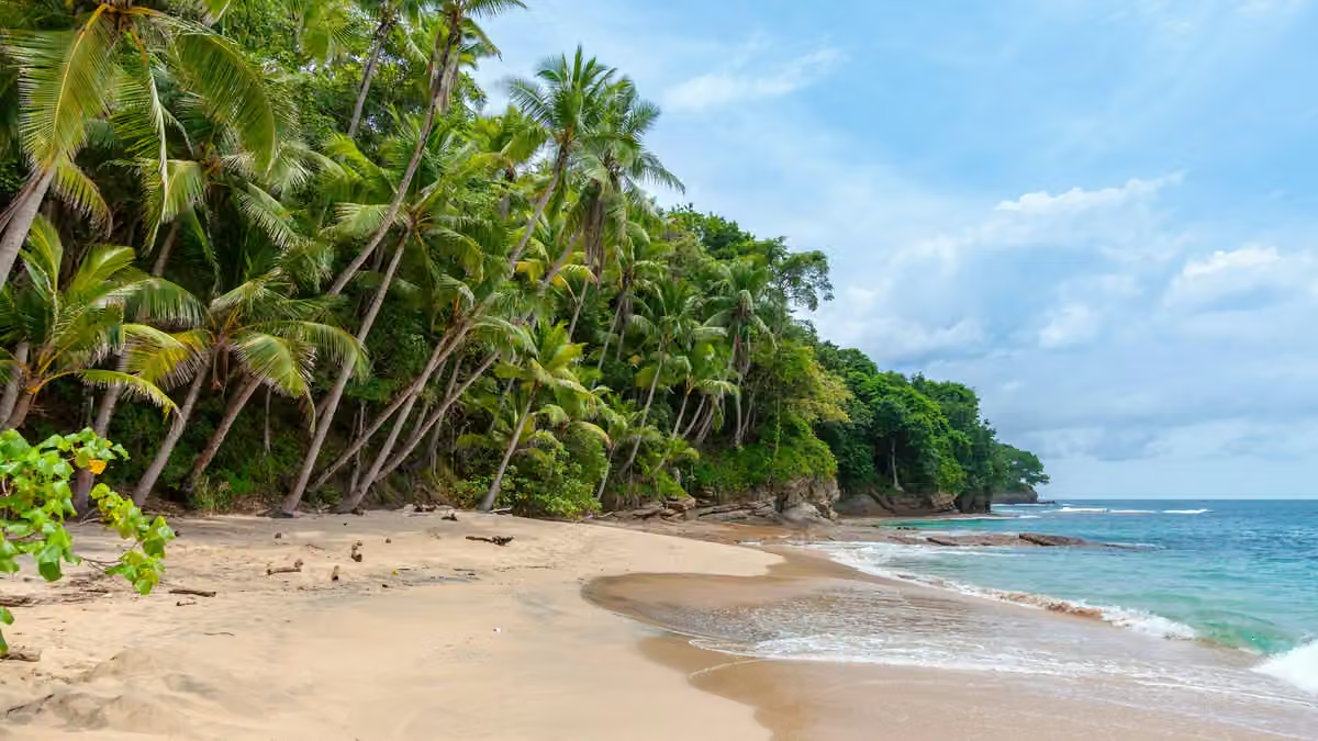 Book flights separately to find cheaper cruise deals
