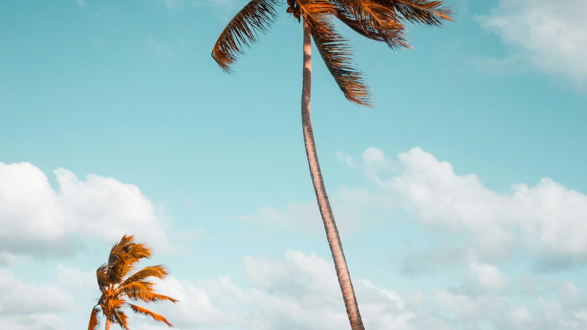 Book flights through Disney for seamless cruise connections