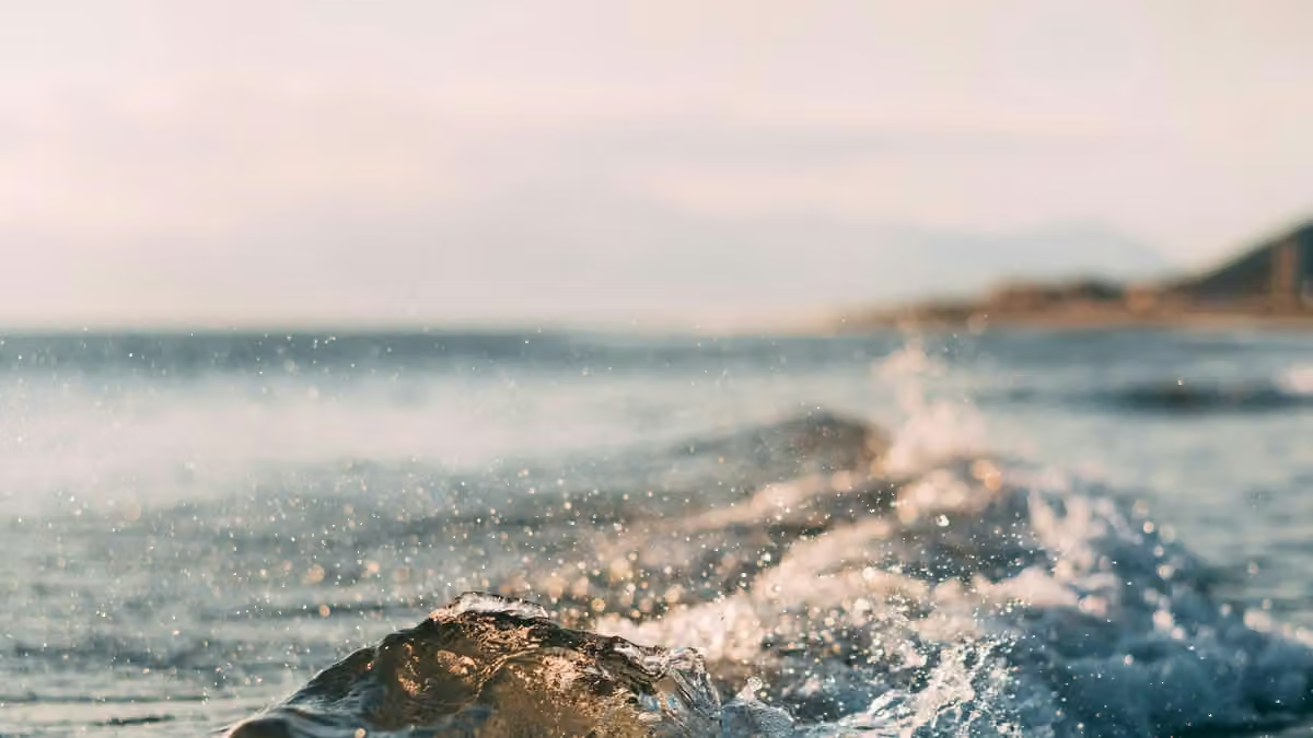 Bundle cruise and flight tickets for lower total cost