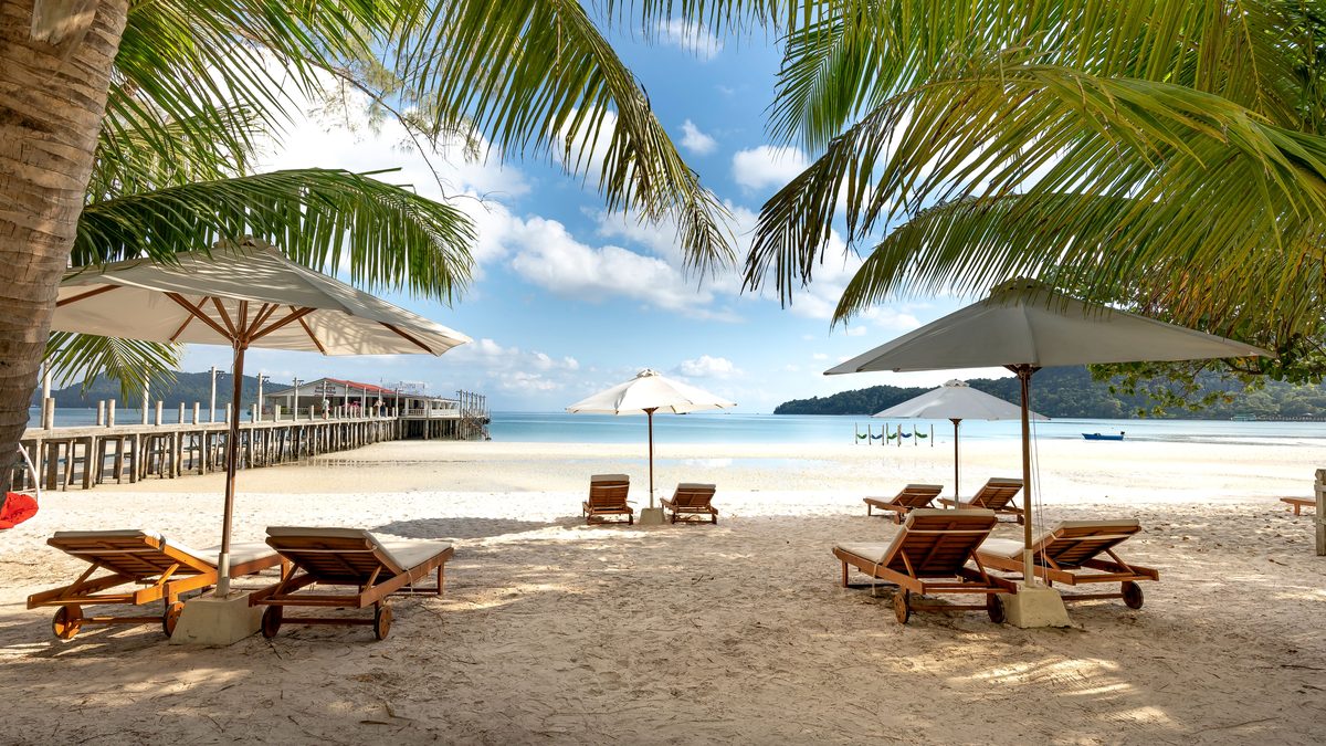 Cruise lines book directly through their own websites.