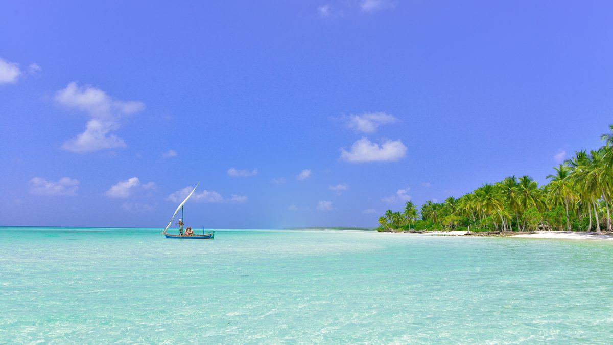 Cruise packages bundle flights, hotels, and fares.