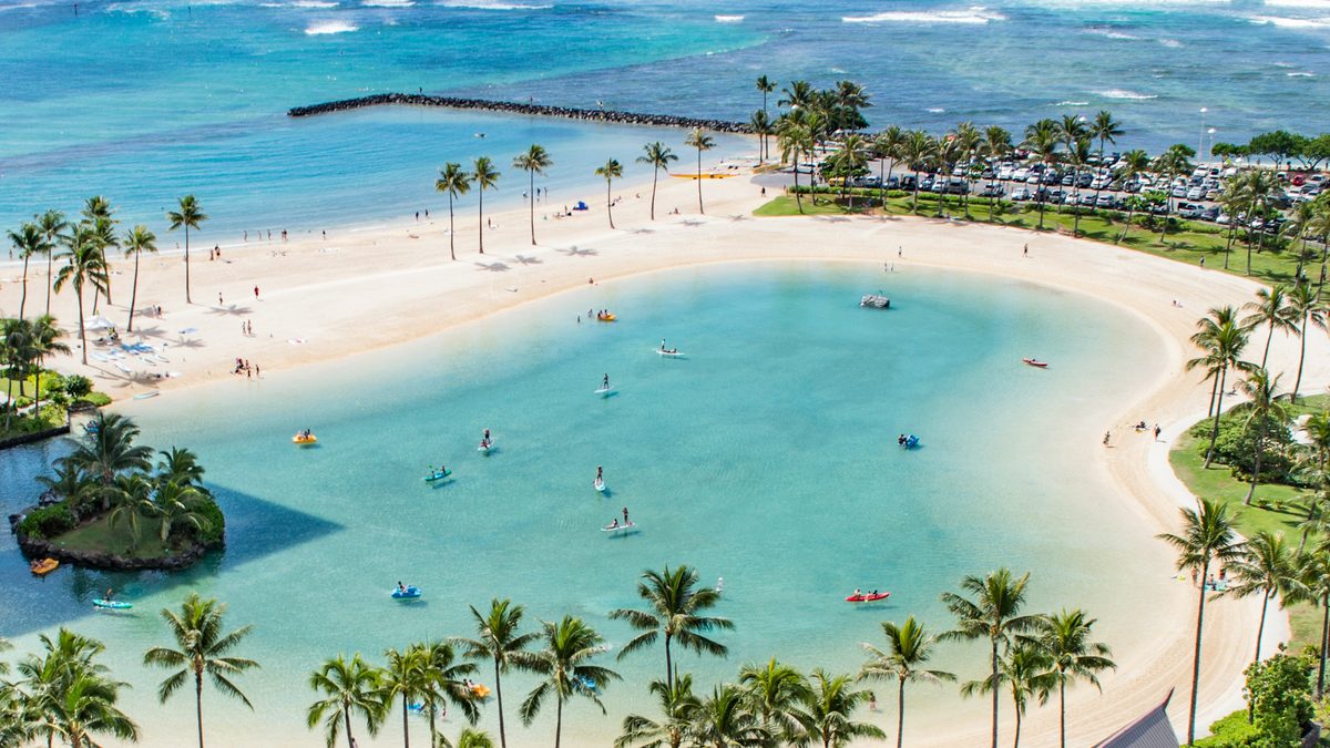 Flight and cruise packages offer the best travel value.