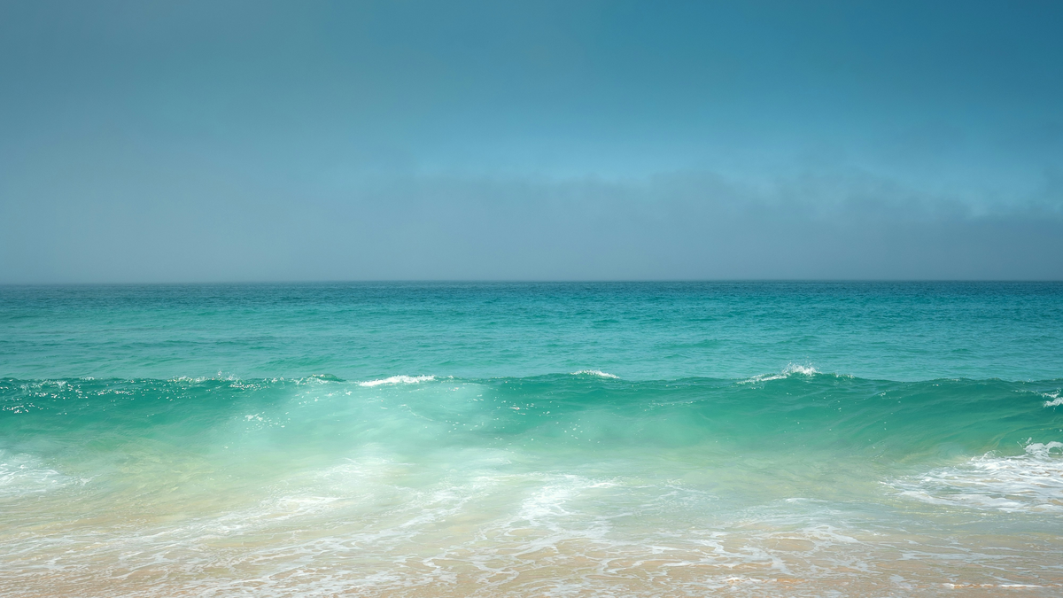 Affordable, Flexible Cruise Fare Options