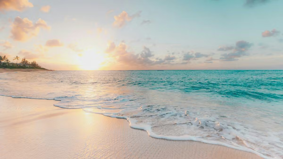 Book cruise early for best cabin and fare selection