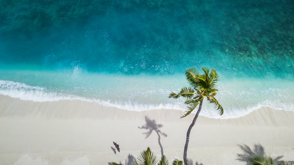 Cruise Part 5 focuses on travel logistics