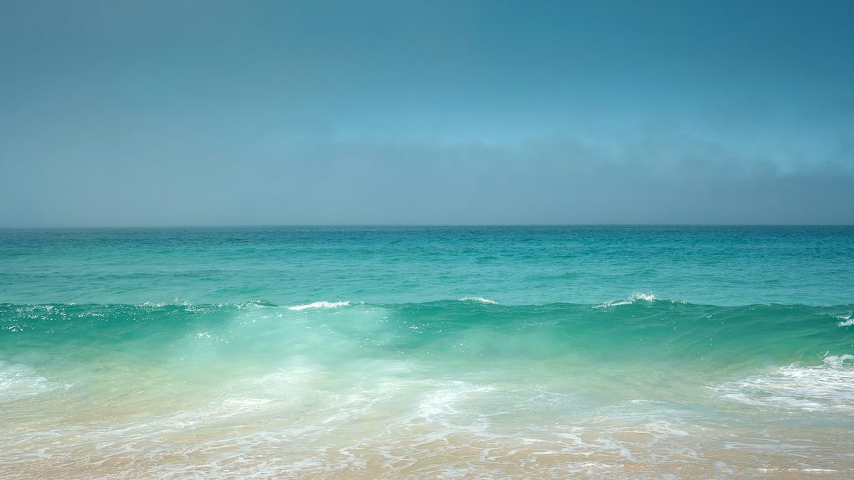 Miami leads US cruise port bookings
